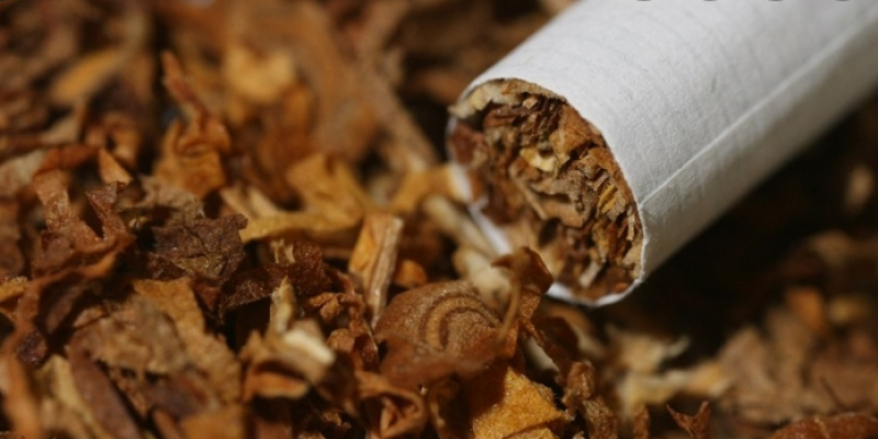 Augmentation du prix d'achat du tabac local brut
