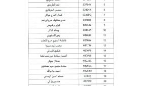 page13